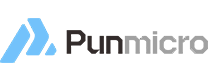 Punmicro científico